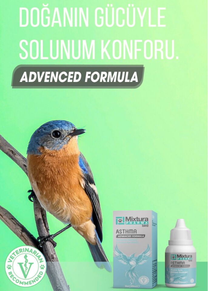 MİXTURA ASTHMA ( SOLUNUM ) 20 ML.