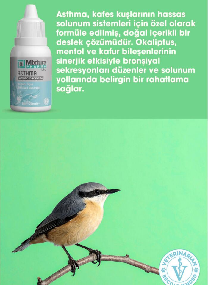 MİXTURA ASTHMA ( SOLUNUM ) 20 ML.