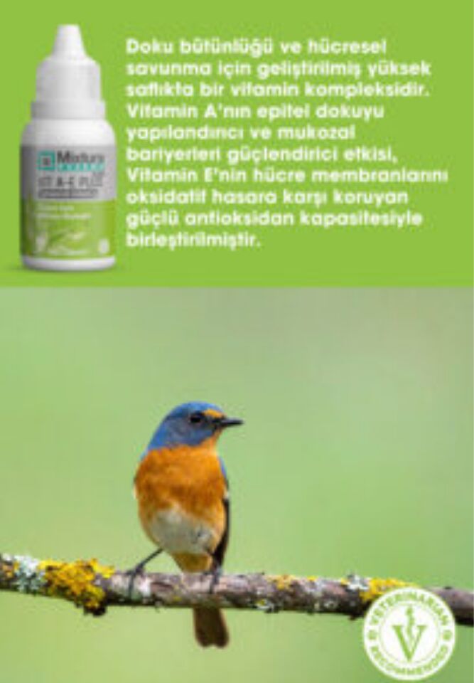MİXTURA PHARMA KUŞ VITAMİN A-E PLUS 20 ML.