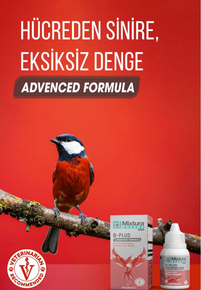 MİXTURA PHARMA KUŞ B-PLUS ( B VİTAMİNİ )