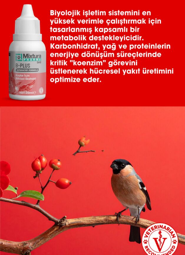 MİXTURA PHARMA KUŞ B-PLUS ( B VİTAMİNİ )
